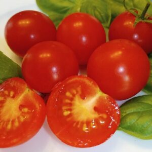 Tomate `Mexikanische Honigtomate` (Samen - Bio)