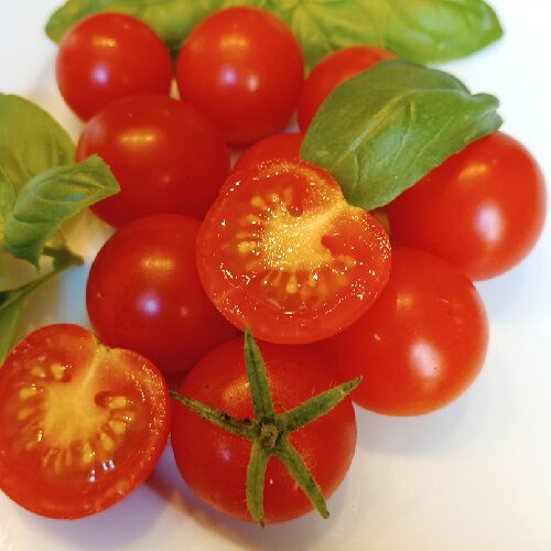 Tomate `Mexikanische Honigtomate` (Samen - Bio) – Bild 2