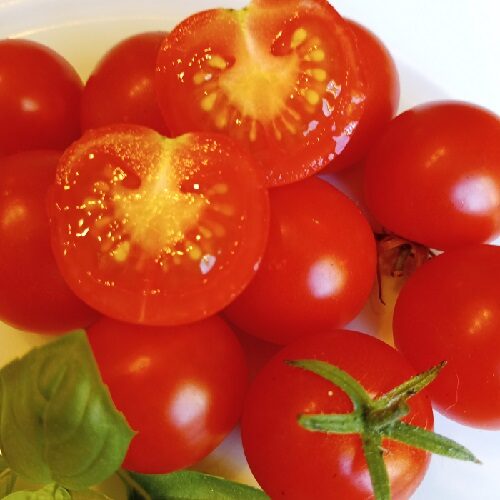 Tomate `Mexikanische Honigtomate` (Samen - Bio) – Bild 4